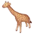 Elegant Giraffe