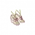 Leaf of Health