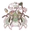 Lotus Grace (Dress)