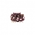 Shining Venus
