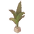 Basket Palm