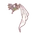 Symphony of Petals
