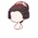 Sakura Season (Hair)