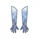 Schrodinger Ocean