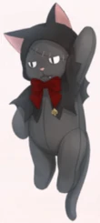 Black Cat Milu
