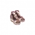 Cloudy Fragrance