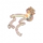 Heartbeat Meteor