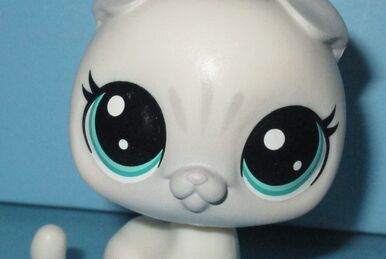 Madame Fluffkins Lps A World of Own Own Fanon Wiki Fandom