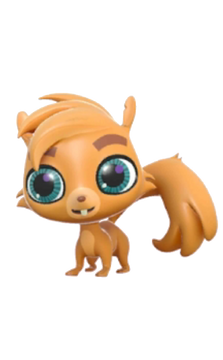 Squirrel pet shop near me hotsell