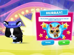 Littlest PetShop OOAK dog corgi world of warcraft custom, handmade