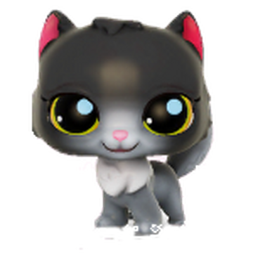 Persian cat shop discount