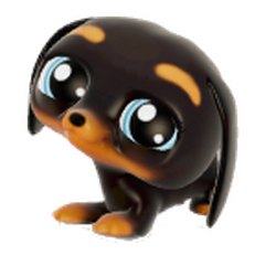 Lps dog types sales
