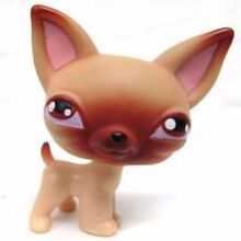Chihuahua 1 | Littlest Pet Shop Wiki | Fandom