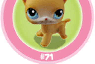 Littlest Pet Shop LPS #1788 Chat Maine Coon Authentique HASBRO - Figurine