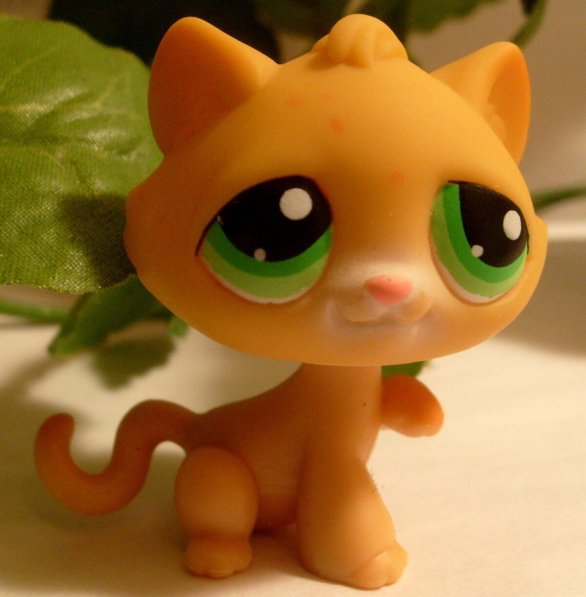 LPS Number 16, Littlest pet shop collector's Wiki