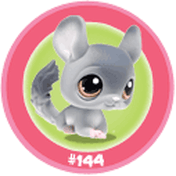 144 Chinchilla | Littlest Pet Shop Wiki | Fandom