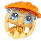 480 | Littlest Pet Shop Wiki | Fandom