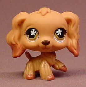 All lps shop cocker spaniels