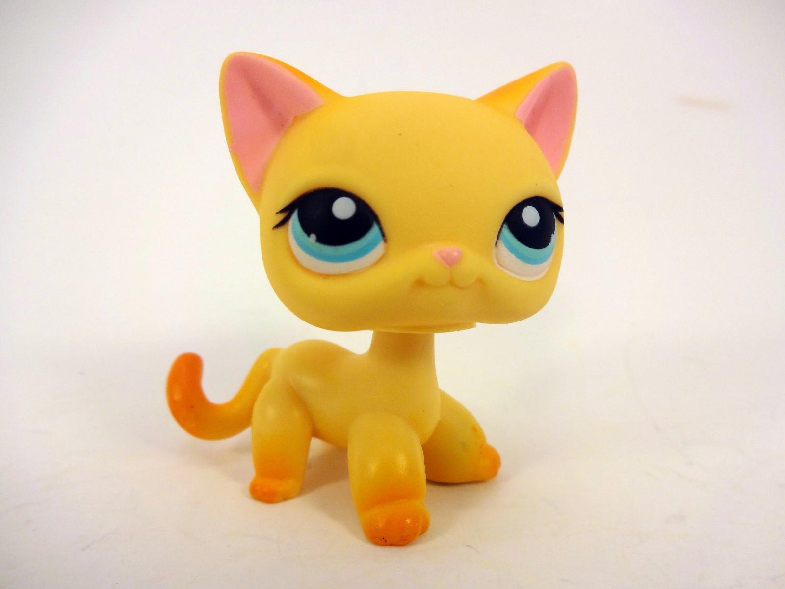 Littlest Pet Shop Shorthair Cat Kitten #339+Accessories Collection Animal Toy 