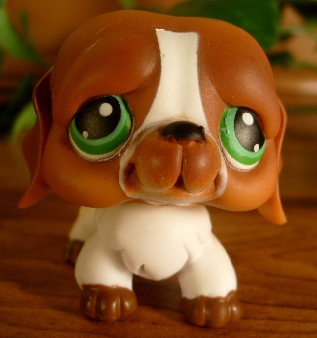 Littlest Pet Shop~#335~Saint Bernard~Puppy Dog~Caramel Brown White~Green Dot Eye 