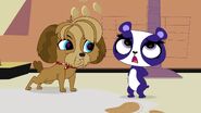 Littlest pet shop s1 e14 digby penny ling