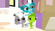 Littlest pet shop s2 e10 sunil vinnie pepper