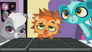 LPS website...pick-up request...falling asleep with two curious pets beside me...