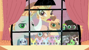 Animals at the window