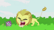 Lion roars