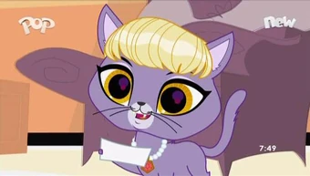 anxiety belt for dogs