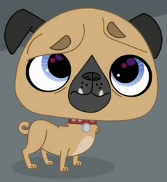 S1E01 Pug crop