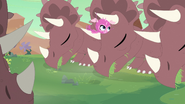 Mink swinging on Triceratops