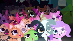 Littlest pet shop it's the pet fest part 2 store