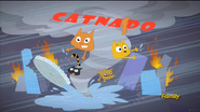 CatNado