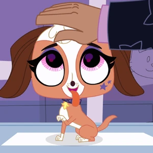 littlest pet shop heidi