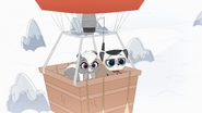 Pepper and Captain in balloon