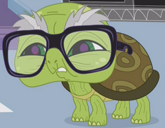 Speedy | Littlest Pet Shop (2012 TV series) Wiki | Fandom