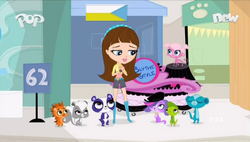 Littlest pet street part cheap 2