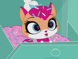 Sugar Sprinkles