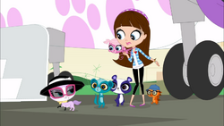 Littlest pet shop littlest sales pet street