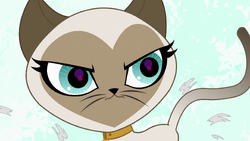 Littlest pet cheap shop scout kerry