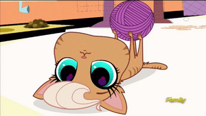 MeowMeowWithYarn