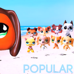 LPS Popular Lpspopular Wiki Fandom