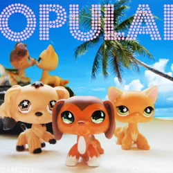 Lps Popular Lpspopular Wiki Fandom Savannah reed and brooklyn hayes had been best popular.the lps series that gave way to tropes, imitations, and above all camaraderie within the lps savannah has 24 hours to make a choice that will turn her life upside down: lps popular lpspopular wiki fandom