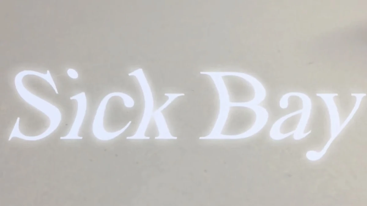 Sick Bay | LPSTube Wiki | Fandom