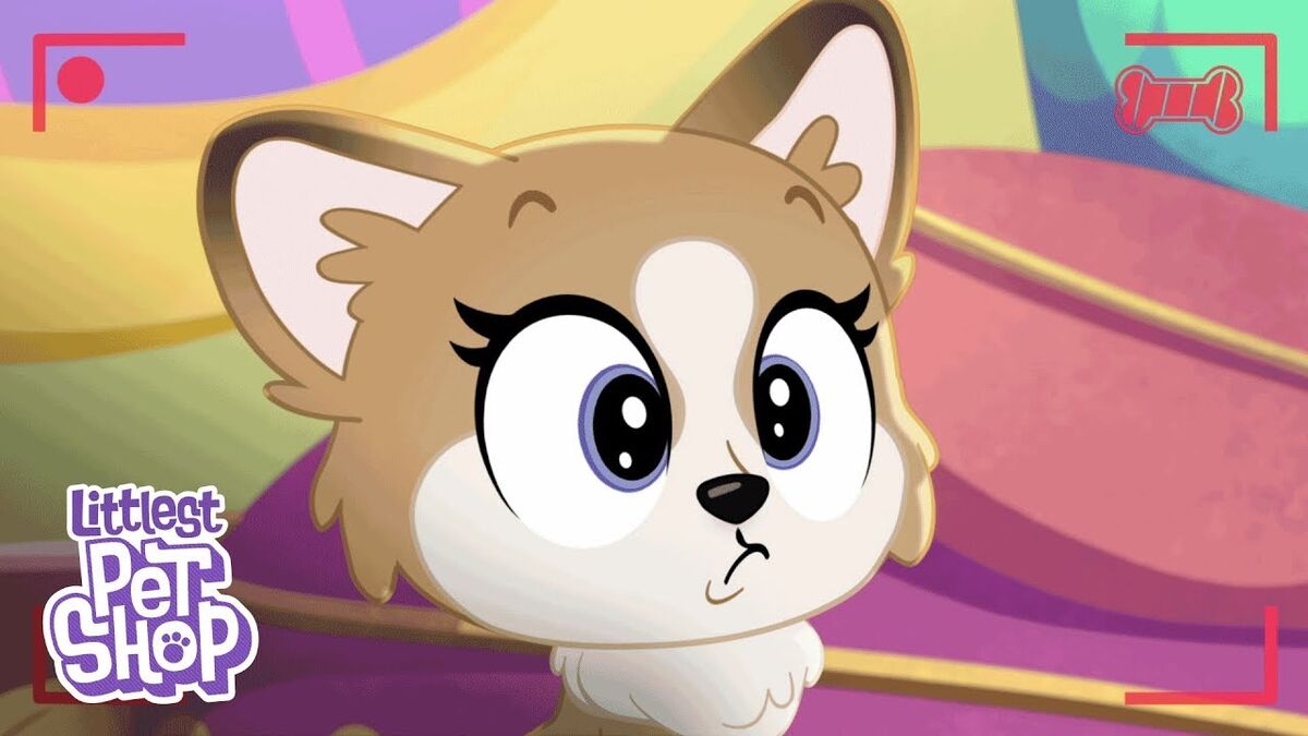 Littlest pet 2025 shop petultimate apartments