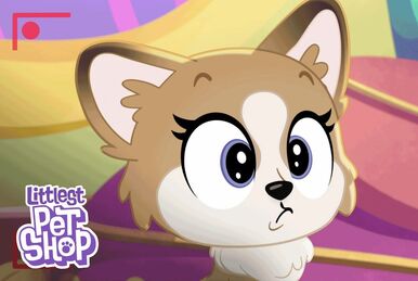 Littlest pet shop shake n dry salon sales