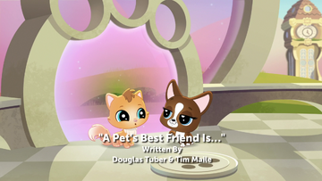 My best friend pet shop new arrivals
