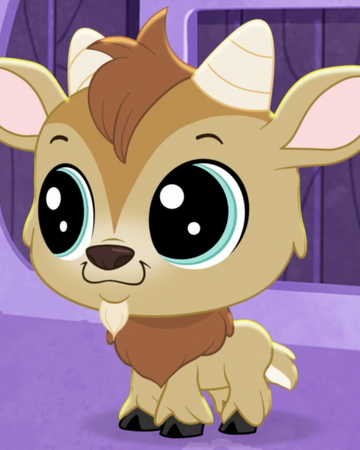 quincy goatee littlest pet shop a