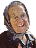 Gienna infoboks.png (321 KB) Gienna (autor: Mustafar29)